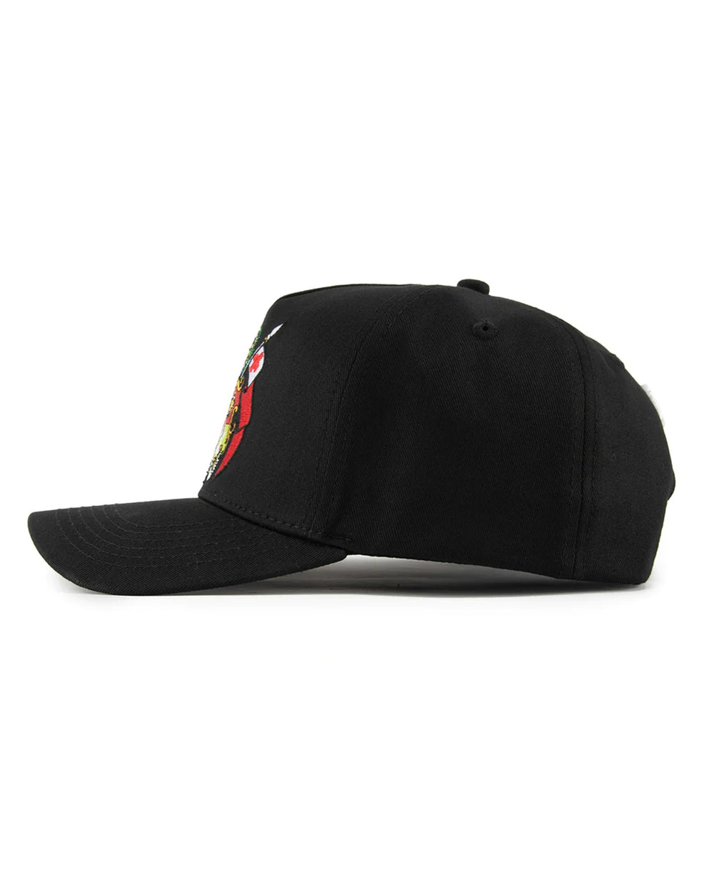 Tonga 676 A-Frame Snapback, view 6