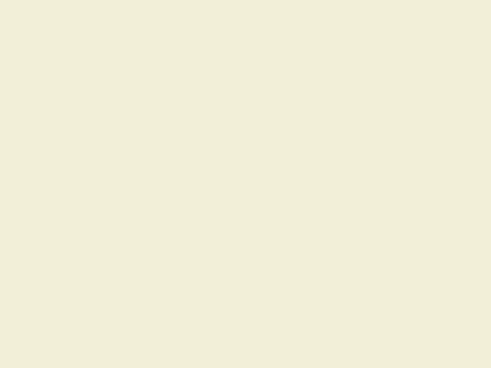 RV1013 - Bone White