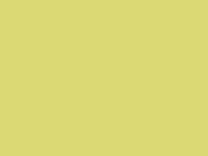 RV1016 - Lemon Yellow