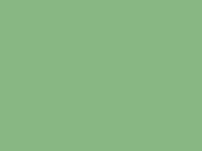RV15 - Apple Green