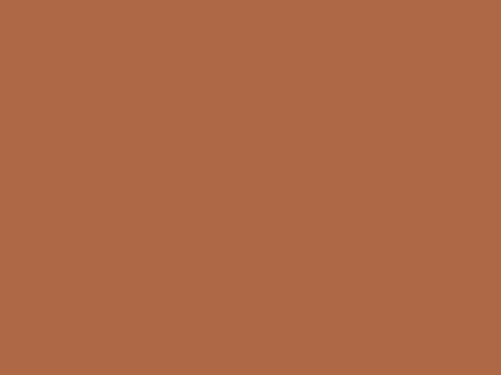 RV249 - Greyound Brown