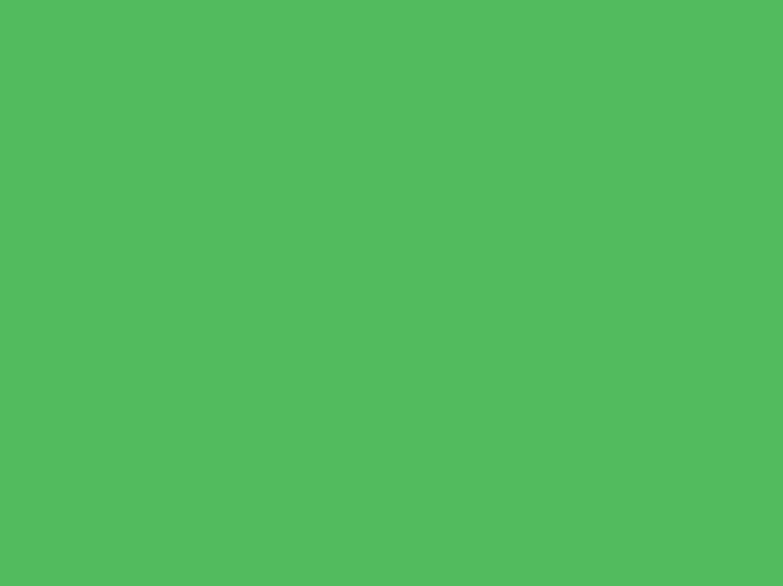 RV271 - Mystic Green